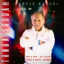 parviz babaei tanha shodam 2025 06 10 09 27