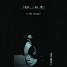 amir naseri nemifahme 2025 07 28 21 33