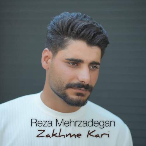 reza mehrzadegan zakhme kari 2025 07 22 11 41