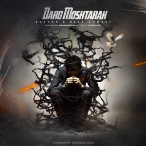 borhan ft reza ahmadi dard moshtarak 2025 08 07 21 13