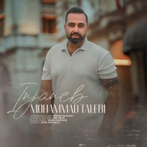 mohammadreza talebi injaneb 2025 08 13 20 58