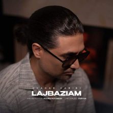 shahab habibi lajbaziam 2025 08 27 13 25