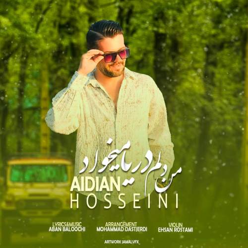 دانلود آهنگ آیدین حسینی من دلم دریا میخواد 1 aidin hosseini man delam darya mikhad 2025 09 29 10 59