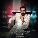 reza miri gole maryam 2025 09 26 19 57