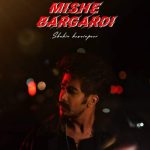 shahin hoseinpoor mishe bargardi 2025 09 19 17 12