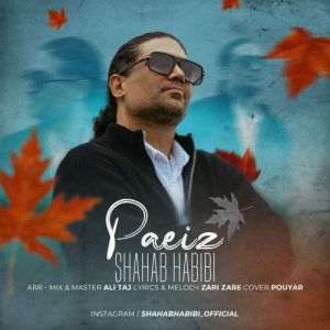 دانلود آهنگ پاییز شهاب حبیبی 17 shahab habibi paeiz 2025 10 28 16 48
