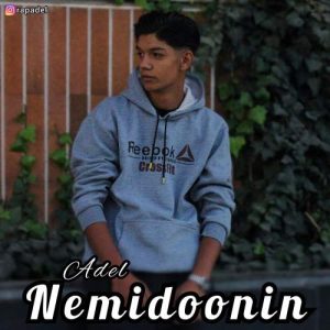 adel nemidoonin 2025 11 25 17 08