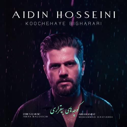 aidin hosseini koochehaye bigharari 2025 11 18 16 38