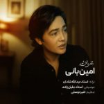 دانلود آهنگ وقتی عاشق شوی امین بانی