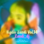 dj zandi radio zandi vol 14 2025 11 14 16 37