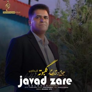 javad zare golbota 2025 11 14 16 40