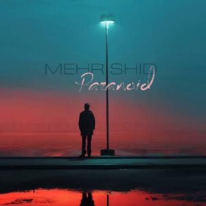 mehrshid paranoid 2025 11 27 22 57