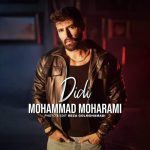 دانلود آهنگ دیدی محمد محرمی