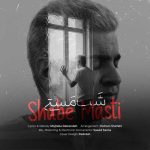 دانلود آهنگ شب مستی مجتبی دل زنده