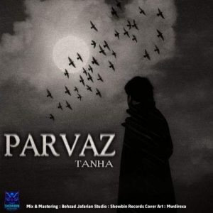 parvaz tanha 2025 11 19 17 56