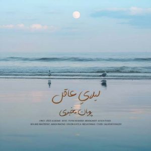 pouyan mokhberi leilaye aghel 2025 11 19 17 47