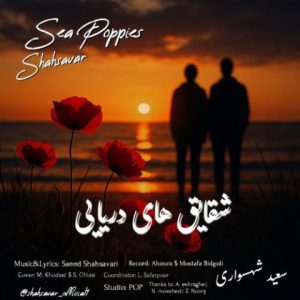 saeed shahsavari shahsavar sea poppies 2025 11 14 16 41