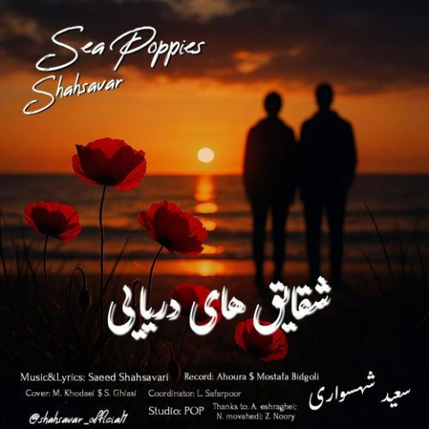 saeed shahsavari shahsavar sea poppies 2025 11 14 16 41