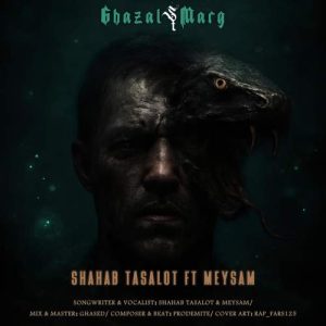 shahab tasalot ft meysam ghazal marg 2025 11 29 15 40