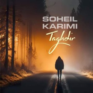 soheil karimi taghdir 2025 11 14 16 43