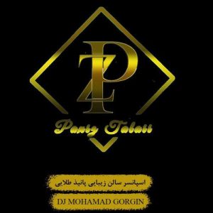dj mohamad gorgin paeiz talaei 349 2025 12 01 12 10