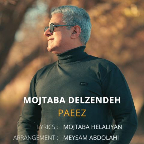 mojtaba delzendeh paeez 2025 12 10 11 29