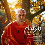 دانلود آهنگ تا زنده ام پیوند