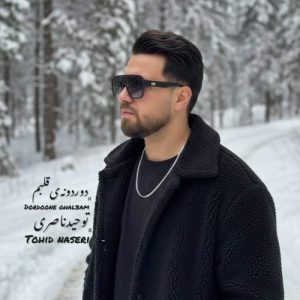 tohid naseri dordooneye ghalbam 2025 12 26 18 20