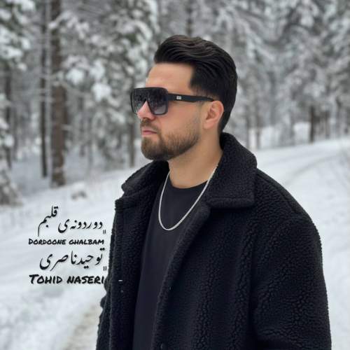 tohid naseri dordooneye ghalbam 2025 12 26 18 20