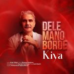 kiya kimiya dele mano borde 2026 01 01 09 14