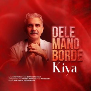 kiya kimiya dele mano borde 2026 01 01 09 14