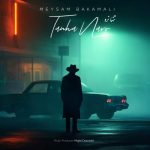 meysam bakamali tanha naro 2026 01 06 17 19