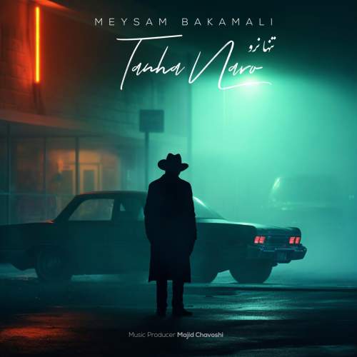 meysam bakamali tanha naro 2026 01 06 17 19
