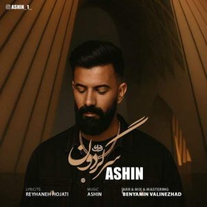 ashin sargardon 2026 02 15 17 37