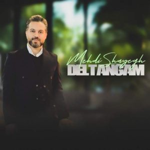 mehdi shayegh deltangam 2026 02 02 17 13