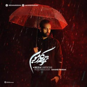 reza gardeshi tamoome karemoon 2026 02 20 16 13