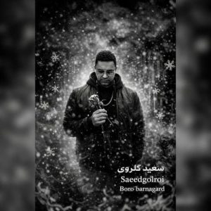 saeed golroi boro barnagard 2026 02 25 15 04