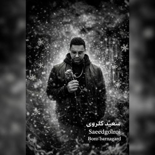 saeed golroi boro barnagard 2026 02 25 15 04