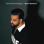 دانلود آهنگ باور نمیکنی (دلی) سهیل مهرزادگان