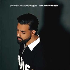 soheil mehrzadadegan bavar nemikoni 2026 02 09 23 30