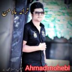 ahmad mohebi mahe man 2026 05 02 23 23