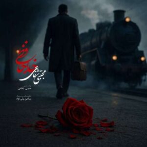 mojtaba shafaei khodahafezi 2026 05 30 14 19