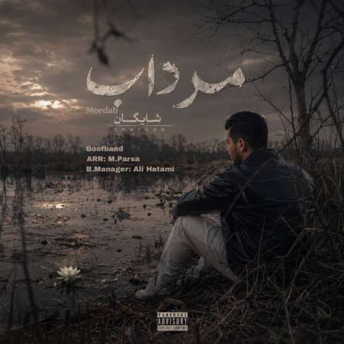shaygan mordab 2026 06 12 16 14